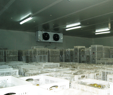 福建冷庫建造補貼標(biāo)準(zhǔn)是多少