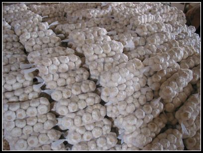 大蒜保鮮冷庫設(shè)計(jì)，冷庫安裝要求