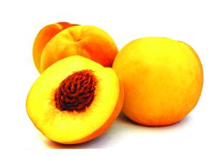 黃桃氣調(diào)保鮮冷庫安裝設(shè)計