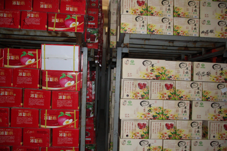 500噸蘋(píng)果冷藏庫(kù)庫(kù)內(nèi)現(xiàn)場(chǎng)圖片