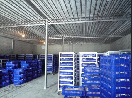 -18~-23℃冷凍庫(kù)哪種制冷方式好?(冷風(fēng)機(jī),鋁排)