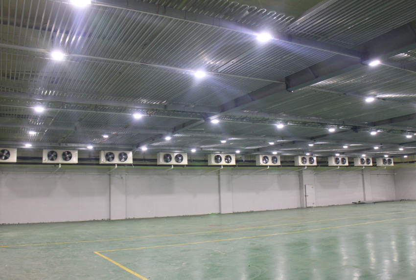  -18~-25℃冷藏庫、建造1000噸海鮮冷庫造價多少錢