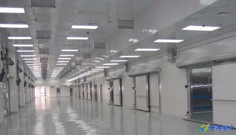 建造500噸帶魚(yú)低溫冷庫(kù)，海鮮冷凍庫(kù)報(bào)價(jià)